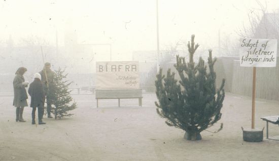 1968 - Juletræssalg